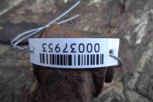 Изображение товара 37953 - 00037953 rychag perednij levyj nizhnij 1