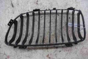 Изображение товара 38301 - 00038301 zaglushka (reshetka) v bamper 1