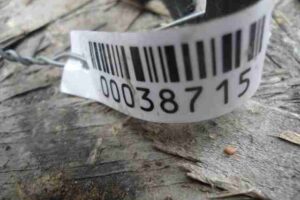 Изображение товара 38715 - 00038715 porog plastikovyj pravyj Mazda 6 3