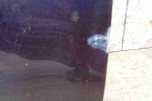 Изображение товара 38724 - 00038724 dver perednyaya pravaya Pontiac Vibe 1