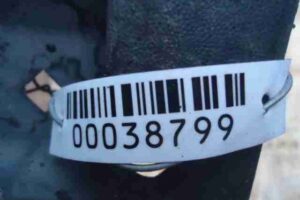 Изображение товара 38799 - 00038799 porog plastikovyj pravyj Peugeot 306 2