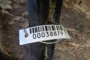 Изображение товара 38879 - 00038879 kronshtejn zadnego bampera 3