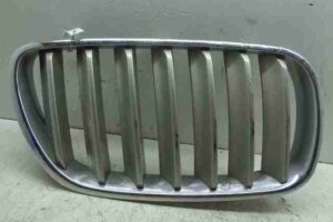 Изображение товара 39177 - 00039177 reshetka radiatora 1