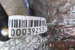 Изображение товара 39253 - 00039253 amortizator perednij pravyj 3
