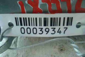 Изображение товара 39347 - 00039347 blok upravleniya podushek bezopasnosti Iveco Daily 2