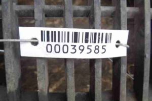 Изображение товара 39585 - 00039585 kryshka dvigatelya dekorativnaya Peugeot 306 1