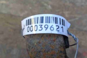 Изображение товара 39621 - 00039621 amortizator zadnij levyj Volkswagen Amarok 1