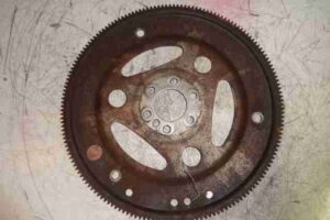 Изображение товара 39708 - 00039708 makhovik 1