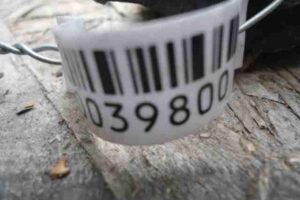 Изображение товара 39800 - 00039800 porog plastikovyj pravyj Pontiac TransSport 3