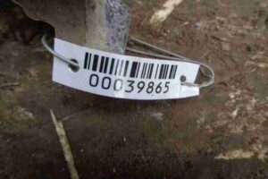 Изображение товара 39865 - 00039865 kronshtejn perednej balki Renault Sandero 1