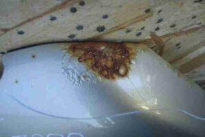 Изображение товара 40043 - 00040043 kapot Renault Sandero 1