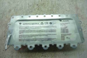 Изображение товара 40106 - 00040106 podushka bezopasnosti passazhira 3