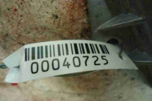 Изображение товара 40725 - 00040725 blok upravleniya podushek bezopasnosti Toyota Celica 1