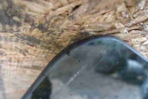 Изображение товара 41037 - 00041037 steklo dveri zadnej levoj 2