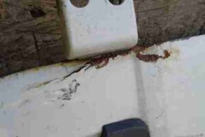 Изображение товара 41788 - 00041788 dver zadnyaya levaya Toyota Celica 3