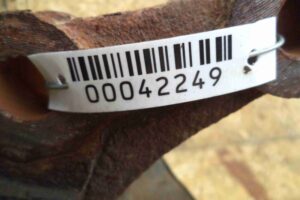 Изображение товара 42249 - 00042249 kulak povorotnyj levyj Renault Sandero 1