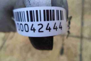 Изображение товара 42444 - 00042444 rychag zadnij pravyj 1