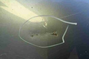 Изображение товара 42454 - 00042454 kapot Renault Sandero 2