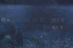 Изображение товара 42663 - 00042663 nakladka kryla Fiat Brava 1