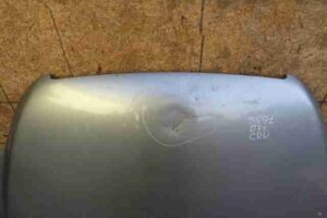 Изображение товара 42819 - 00042819 kapot Renault Sandero 3