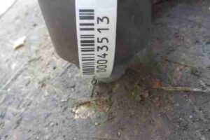 Изображение товара 43513 - 00043513 amortizator zadnij pravyj 1