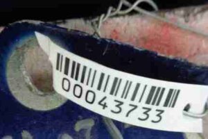 Изображение товара 43733 - 00043733 petlya kapota levaya Toyota Corolla Matrix 3