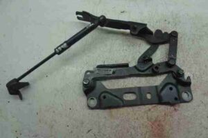 Изображение товара 43787 - 00043787 petlya kapota pravaya 1