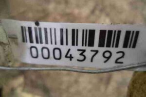 Изображение товара 43792 - 00043792 bachok omyvatelya 1