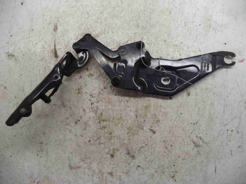 Изображение товара 43913 - 00043913 petlya kapota pravaya