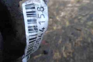 Изображение товара 44158 - 00044158 podushka krepleniya dvigatelya 2