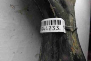 Изображение товара 44233 - 00044233 rychag perednij levyj nizhnij Fiat Ducato 3