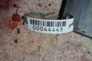 Изображение товара 44445 - 00044445 reshetka radiatora 1