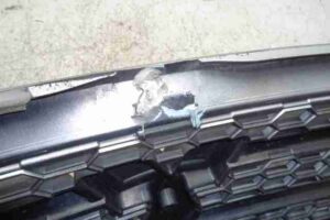 Изображение товара 44445 - 00044445 reshetka radiatora 2