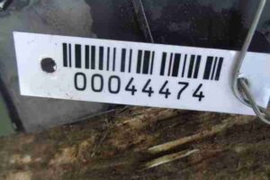 Изображение товара 44474 - 00044474 dozhdevik Peugeot 306 2