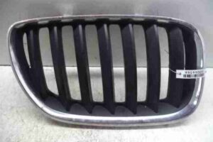 Изображение товара 44566 - 00044566 reshetka radiatora 