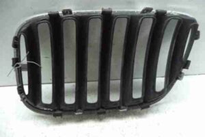 Изображение товара 44566 - 00044566 reshetka radiatora 2