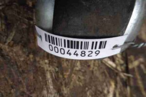 Изображение товара 44829 - 00044829 rychag perednij levyj nizhnij 3