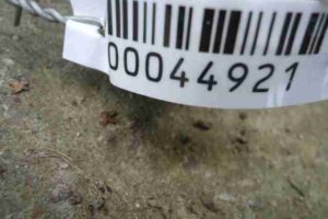 Изображение товара 44921 - 00044921 porog plastikovyj pravyj Volvo V50 2