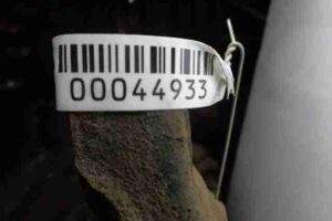 Изображение товара 44933 - 00044933 rychag perednij pravyj nizhnij Toyota Corolla 1