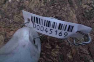 Изображение товара 45169 - 00045169 bachok omyvatelya 1