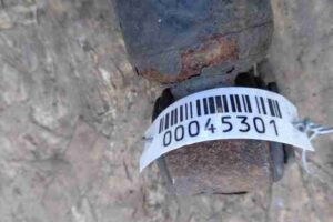 Изображение товара 45301 - 00045301 amortizator zadnij pravyj 1