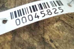 Изображение товара 45825 - 00045825 amortizator zadnij levyj 3
