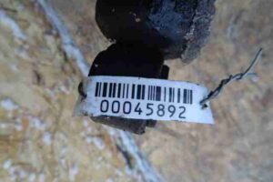 Изображение товара 45892 - 00045892 amortizator perednij levyj Toyota Venza 2