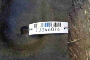 Изображение товара 46076 - 00046076 zaschita dnischa 2