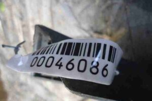 Изображение товара 46086 - 00046086 porog plastikovyj pravyj Ford Kuga 2