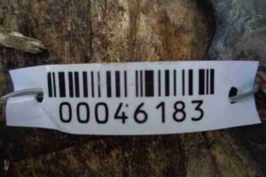 Изображение товара 46183 - 00046183 bryzgovik perednij Renault Sandero 2