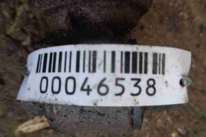 Изображение товара 46538 - 00046538 amortizator zadnij pravyj 2