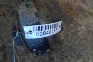 Изображение товара 46587 - 00046587 rychag perednij levyj nizhnij 2