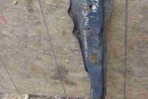 Изображение товара 46606 - 00046606 kronshtejn kpp Citroen Evasion 1