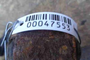 Изображение товара 47553 - 00047553 rychag perednij levyj nizhnij Volkswagen Amarok 1